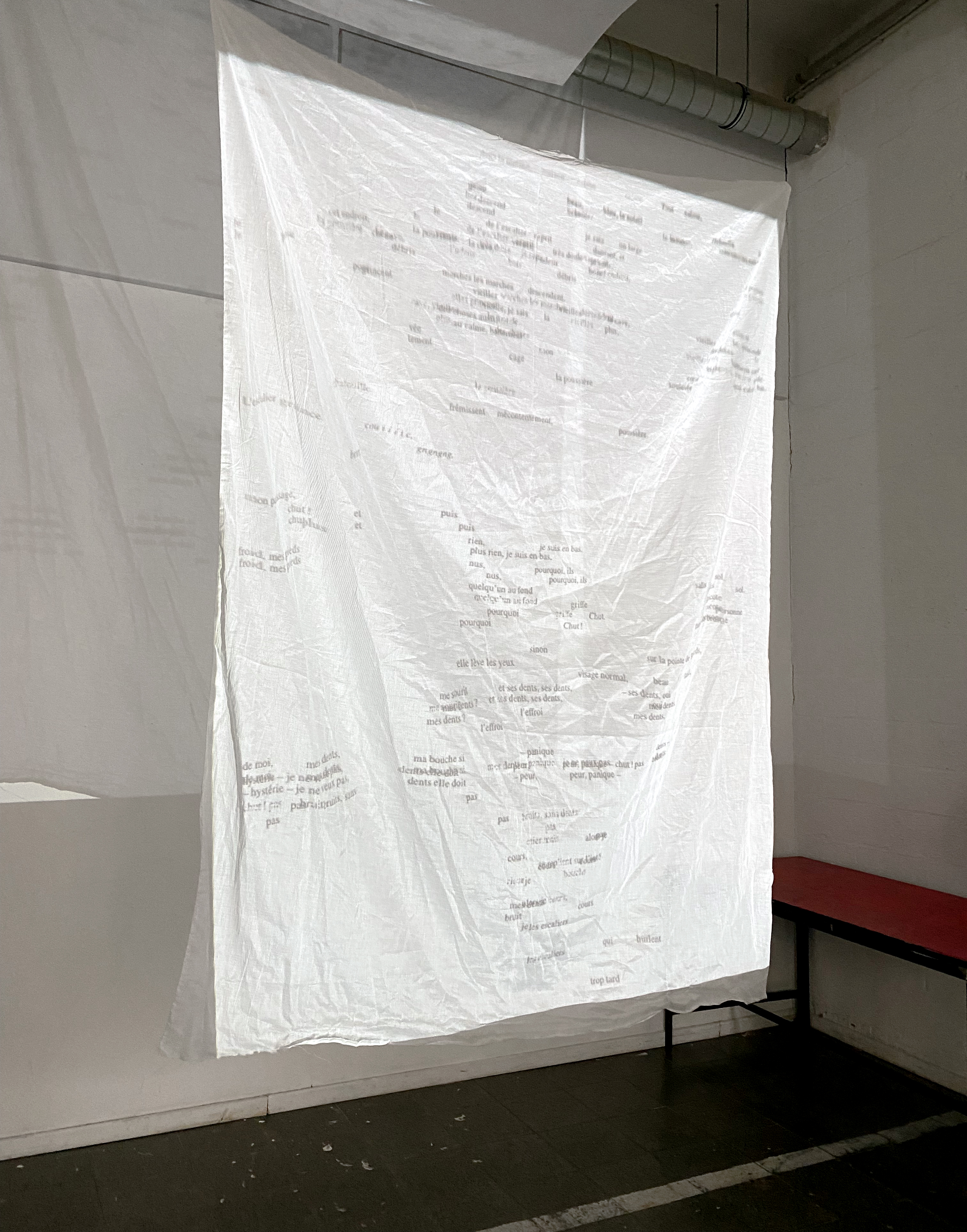 TYPO B2 Maëlle Moiny Installation-projection la trace des rêves.jpg