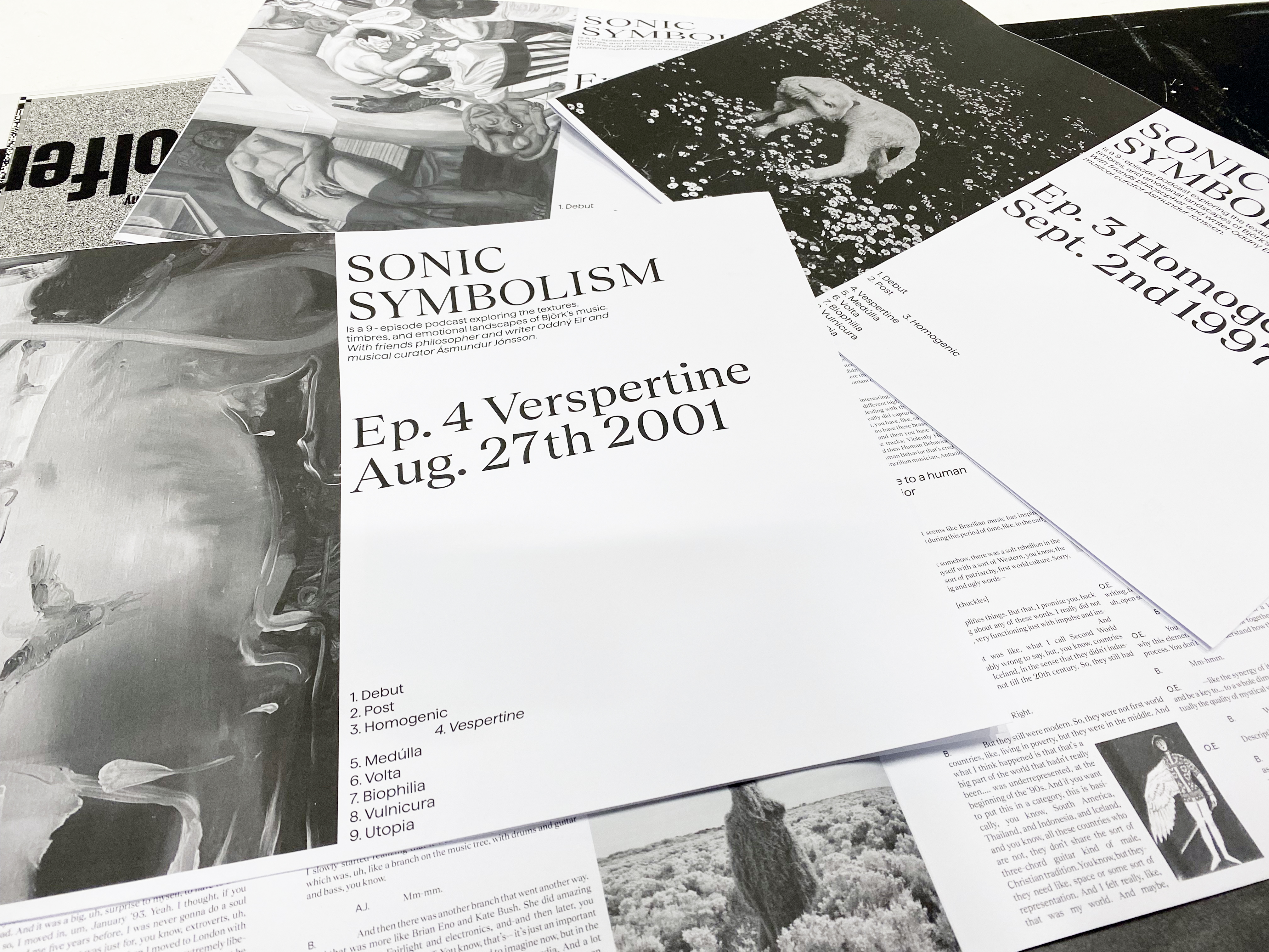 IRIS MABILLE B3 retranscription du podcast Björk Sonic Symbolism.JPG