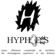 Screenshot 2023-09-04 at 14-32-23 Hyphes festival (@hyph.es) • Photos et vidéos Instagram.png